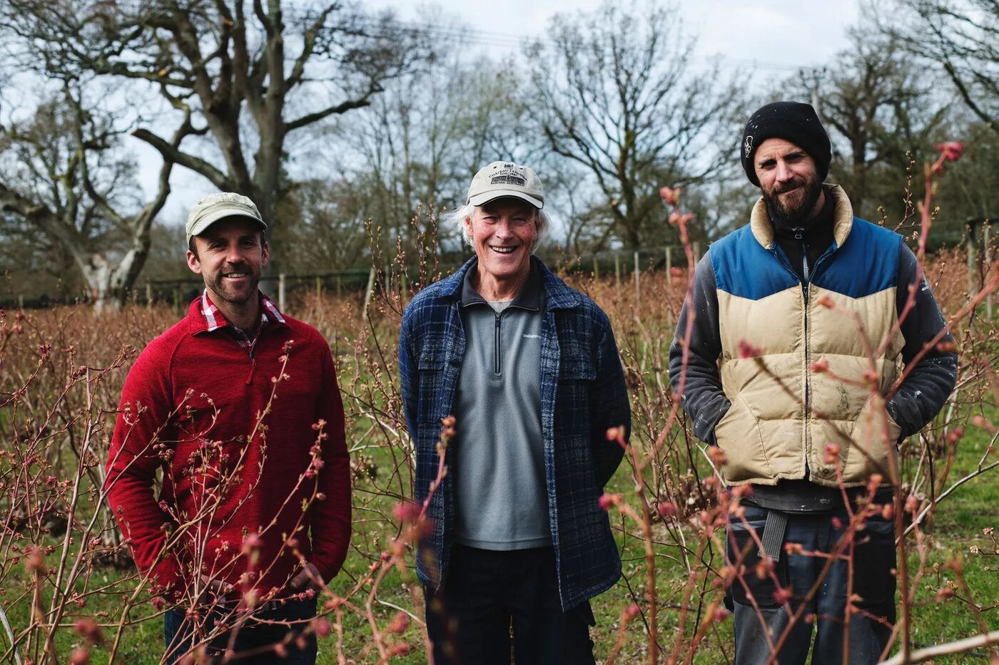 Josh, Dan and Jeremy standing together at the edge of the blueberry field