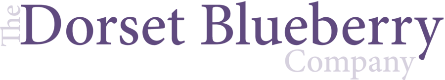 The Dorset Blueberry Company